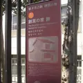 大開公園の写真_30990