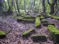 大山の写真_310023