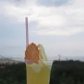砂丘センター 見晴らしの丘の写真_310045