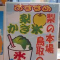 砂丘センター 見晴らしの丘の写真_310047