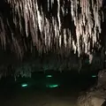 おきなわワールドの写真_310337