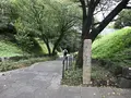 陣ケ下渓谷公園の写真_310848