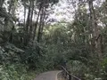 陣ケ下渓谷公園の写真_310877