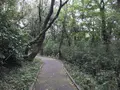 陣ケ下渓谷公園の写真_310880