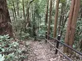 陣ケ下渓谷公園の写真_310883