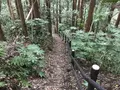 陣ケ下渓谷公園の写真_310884