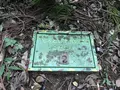 陣ケ下渓谷公園の写真_310886