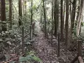 陣ケ下渓谷公園の写真_310887
