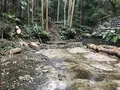 陣ケ下渓谷公園の写真_310889
