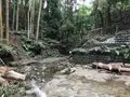 陣ケ下渓谷公園の写真_310890