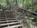 陣ケ下渓谷公園の写真_310896