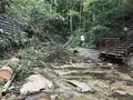 陣ケ下渓谷公園の写真_310898