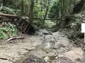 陣ケ下渓谷公園の写真_310899