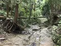 陣ケ下渓谷公園の写真_310900