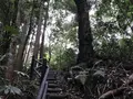 陣ケ下渓谷公園の写真_310902