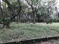 陣ケ下渓谷公園の写真_310993