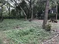 陣ケ下渓谷公園の写真_310994