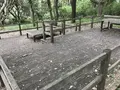 陣ケ下渓谷公園の写真_311003