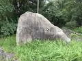 陣ケ下渓谷公園の写真_311004