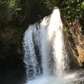 河津七滝の写真_311018