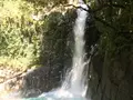 河津七滝の写真_311021