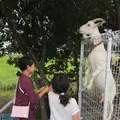 松幸農産これから村の写真_311023