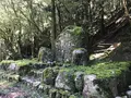 旧天城トンネルの写真_311080