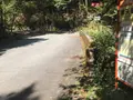 旧天城トンネルの写真_311081