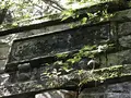 旧天城トンネルの写真_311083