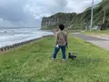 函館の写真_311136