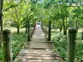 釧路市湿原展望台の写真_311152