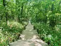 釧路市湿原展望台の写真_311153