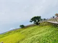 知床五湖の写真_311442