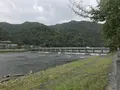 渡月橋の写真_312120