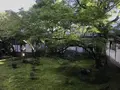 仁和寺の写真_312165
