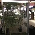 嵐山駅の写真_312183
