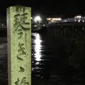 渡月橋の写真_312189