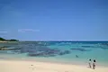 土盛海岸の写真_312528