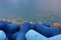 美浜タウンリゾート・アメリカンビレッジの写真_313128