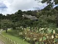 本牧市民公園の写真_313159