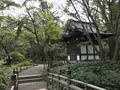 本牧市民公園の写真_313175