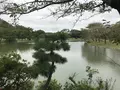 本牧市民公園の写真_313255