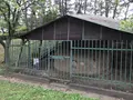 本牧市民公園の写真_313262