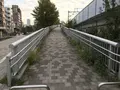 孝道山本仏殿（宗教法人）の写真_313374