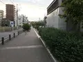 孝道山本仏殿（宗教法人）の写真_313382