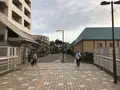 孝道山本仏殿（宗教法人）の写真_313387