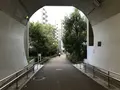 孝道山本仏殿（宗教法人）の写真_313393