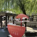 加賀　山中温泉　菊の湯の写真_313453