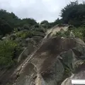 浄土寺の写真_313487