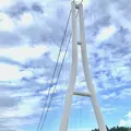 三島スカイウォークの写真_313570